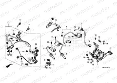 F-38-10 SUB HARNESS & IGNITION COIL