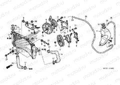 F-38 RADIATOR