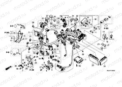 F-38 WIRE HARNESS