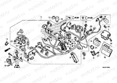 F-38 WIRE HARNESS