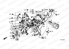 F-38 WIRE HARNESS