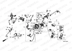 F-38 WIRE HARNESS