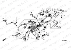 F-38 WIRE HARNESS - A2