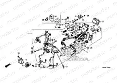 F-38 WIRING HARNESS