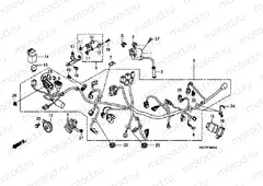 F-38 WIRING HARNESS (XRE300)