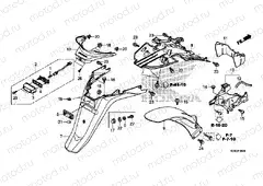 F-39 REAR FENDER / LICENSE LIGHT