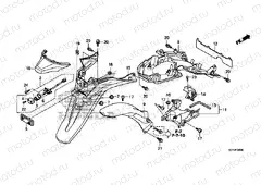 F-39 REAR FENDER / LICENSE LIGHT
