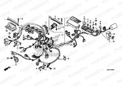 F-39 WIRING HARNESS