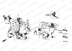 F-4-1 SWITCH & CABLE (DCT)