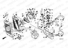 F-41-1 RADIATOR (VT750S)