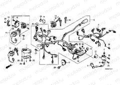 F-41-1 WIRING HARNESS (WW125EX2C / EX2D / EX2E / D)