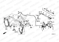 F-41-10 RADIATOR HOSE & WATER PIPE
