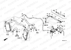 F-41-10 RADIATOR HOSE & WATER PIPE