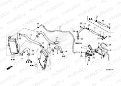 F-41-10 RADIATOR HOSE & WATER PIPE