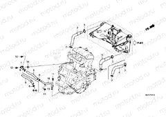 F-41-10 RADIATOR HOSE & WATER PIPE