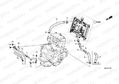 F-41-10 RADIATOR HOSE/WATER PIPE