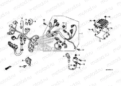 F-41-10 SUB HARNESS / IGNITION COIL
