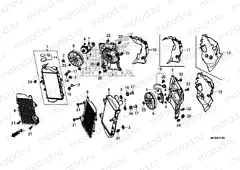 F-41 RADIATOR