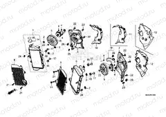 F-41 RADIATOR