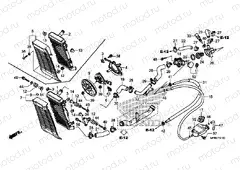 F-41 RADIATOR