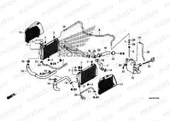 F-41 RADIATOR