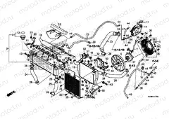 F-41 RADIATOR