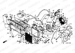 F-41 RADIATOR