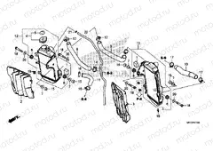 F-41 RADIATOR