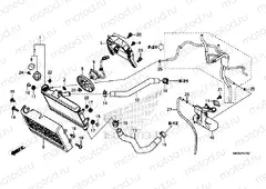 F-41 RADIATOR