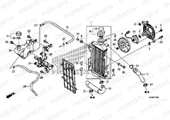 F-41 RADIATOR