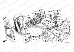 F-41 RADIATOR (VT750CS / C2B / C2S / C)