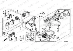 F-41 WIRING HARNESS