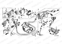 F-41 WIRING HARNESS