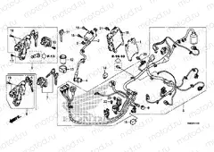 F-41 WIRING HARNESS