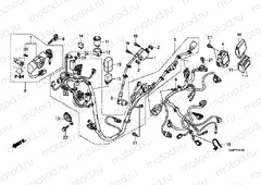 F-41 WIRING HARNESS (NSC50 / MPD / WH)