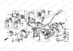 F-41 WIRING HARNESS (WW125EX2A / EX2B)
