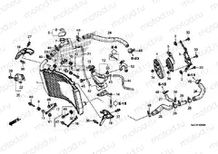 F-42 RADIATOR