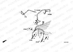 F-5-40 FRONT BRAKE HOSE