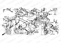 F-5 FRONT BRAKE HOSE