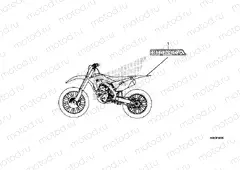 F-50 DECALS
