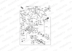 Front Bevel Gear