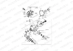 Front Bevel Gear