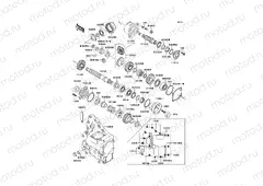 Front Bevel Gear