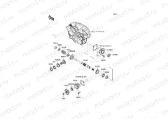 Front Bevel Gear