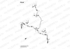 FRONT BRAKE HOSE