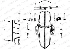 Front fender