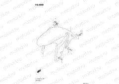 FRONT FENDER (Z)