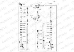 Front Fork