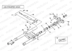 Front fork - Challenge Version