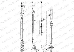 FRONT FORK DISASSEMBLED